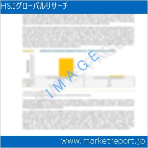 市場と産業調査レポートのイメージ